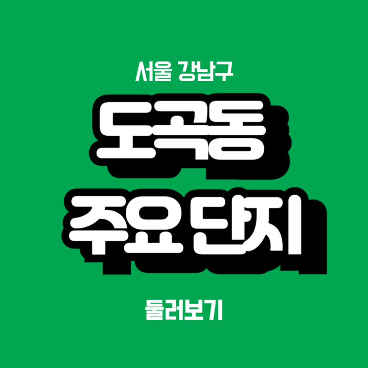  서울 강남구 도곡동 주요 아파트 단지 둘러보기 (2024년 8월 기준)