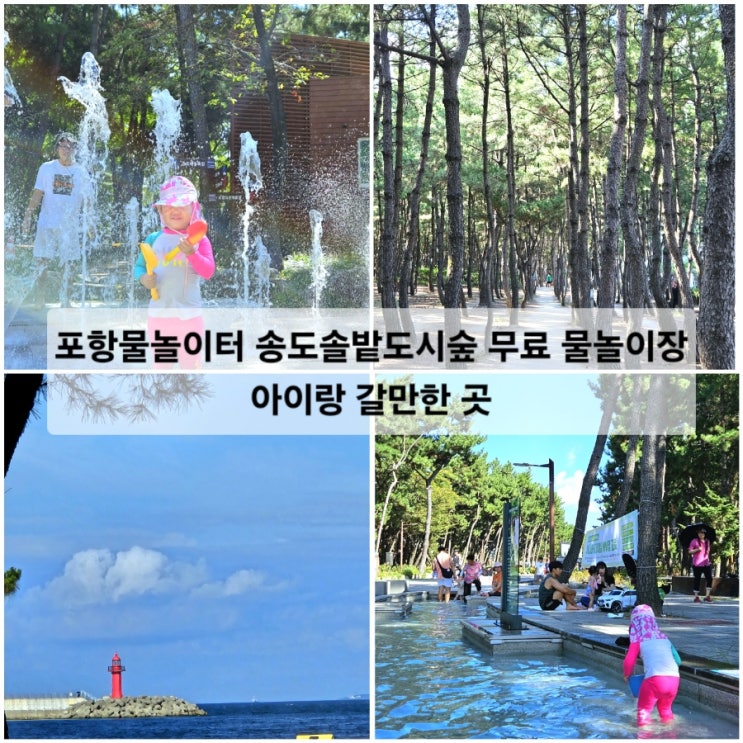  포항물놀이터 송도솔밭도시숲 무료 물놀이장 아이랑 갈만한 곳