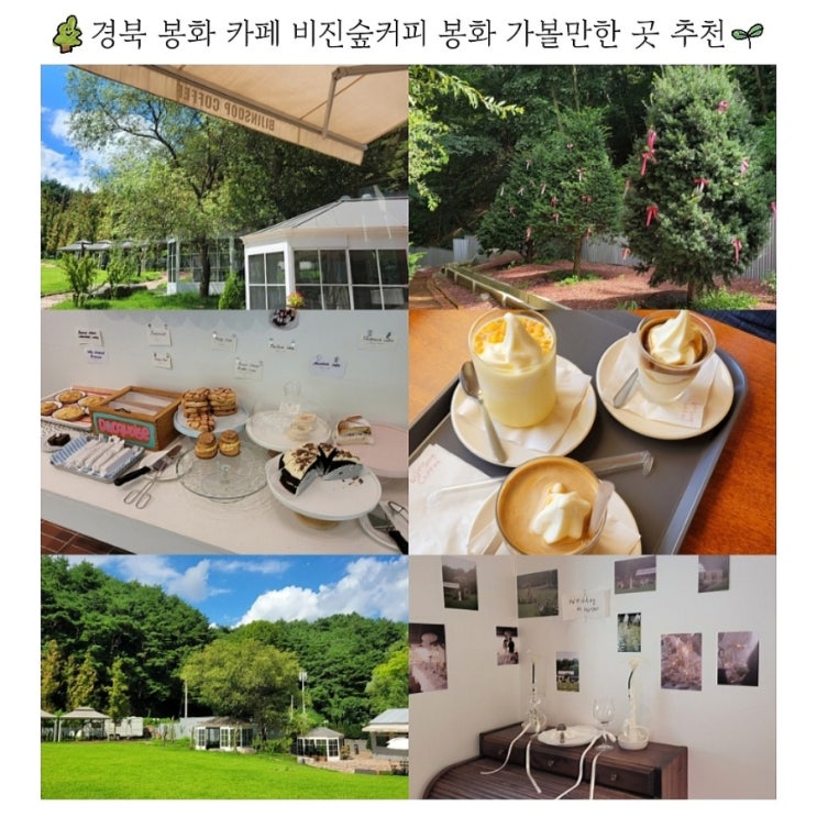  경북 봉화 카페 비진숲커피 봉화 가볼만한곳 추천