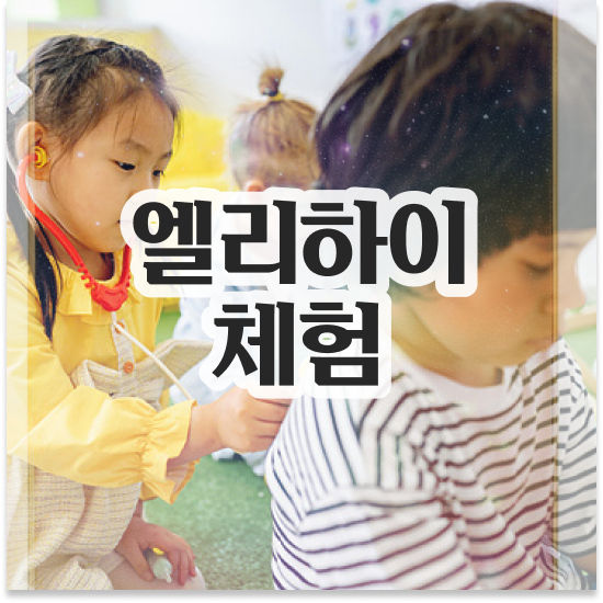  11세 엘리하이 가격 공부 습관 만들기