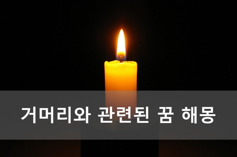 거머리와 관련된 꿈 해몽