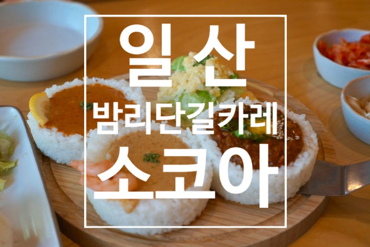  일산카레맛집 리필가능 애견동반가능 소코아