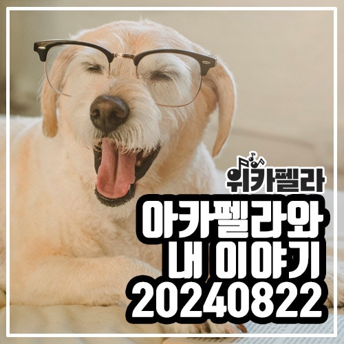  내 아카펠라 수업에 대한 기본 정보