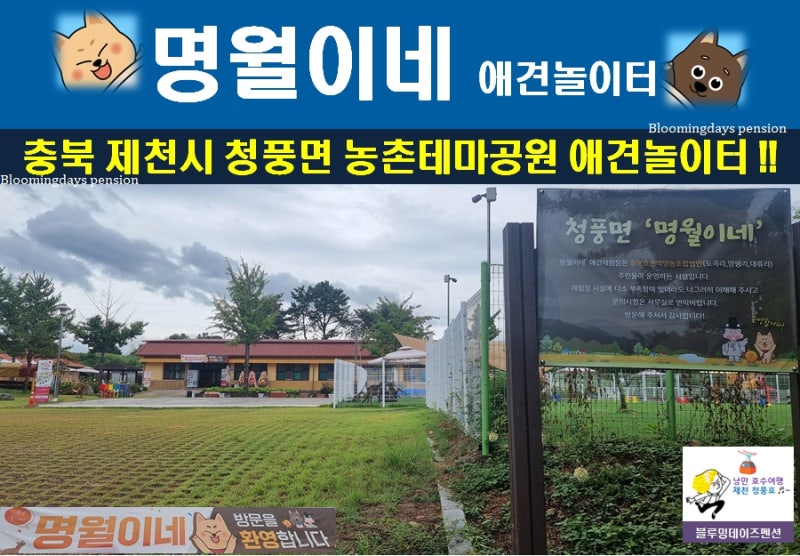사진 3