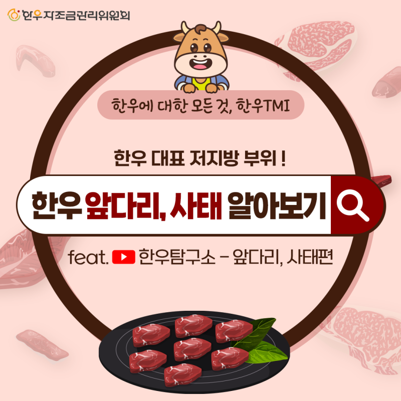 [한우TMI]한우 대표 저지방 부위! 한우 앞다리, 사태 알아보기 ✔️