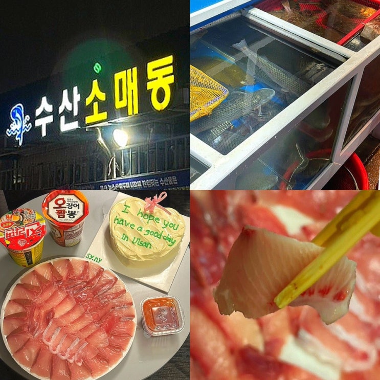  울산 삼산동 회센터 회포장 농수산물도매시장 “수산소매동” (feat. 울릉도횟집)