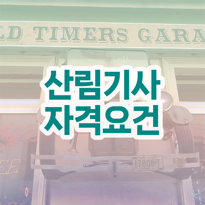  산림기사 필기과목 산림기사 자격요건 집에서 온라인으로 1학기 만에 끝낸 전략