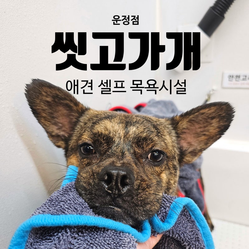 사진 2