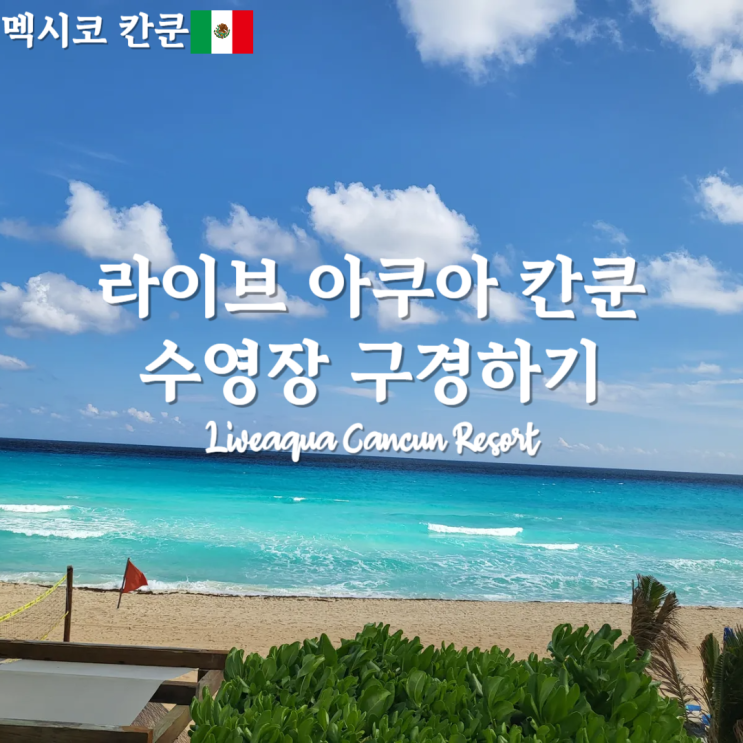  칸쿤 신혼여행 호텔 추천 라이브 아쿠아 칸쿤 part.2 수영장 및 풀바