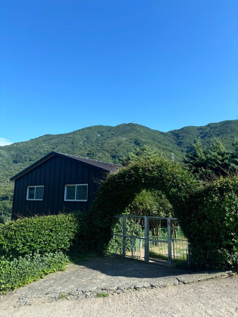 사진 5