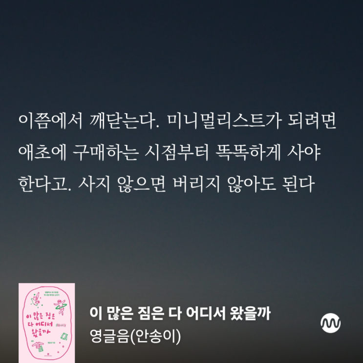  미니멀 라이프 도전기 읽는 중 <이 많은 짐은 다 어디서 왔을까>