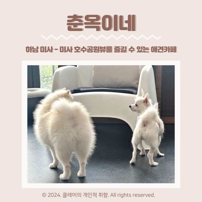 사진 5