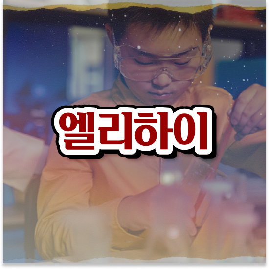  초등 4학년 학습지 가격 엘리하이로 활용방법