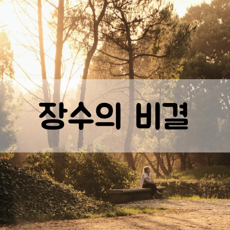  117세 세계 최고령 할머니가 알려주는 장수의 비결
