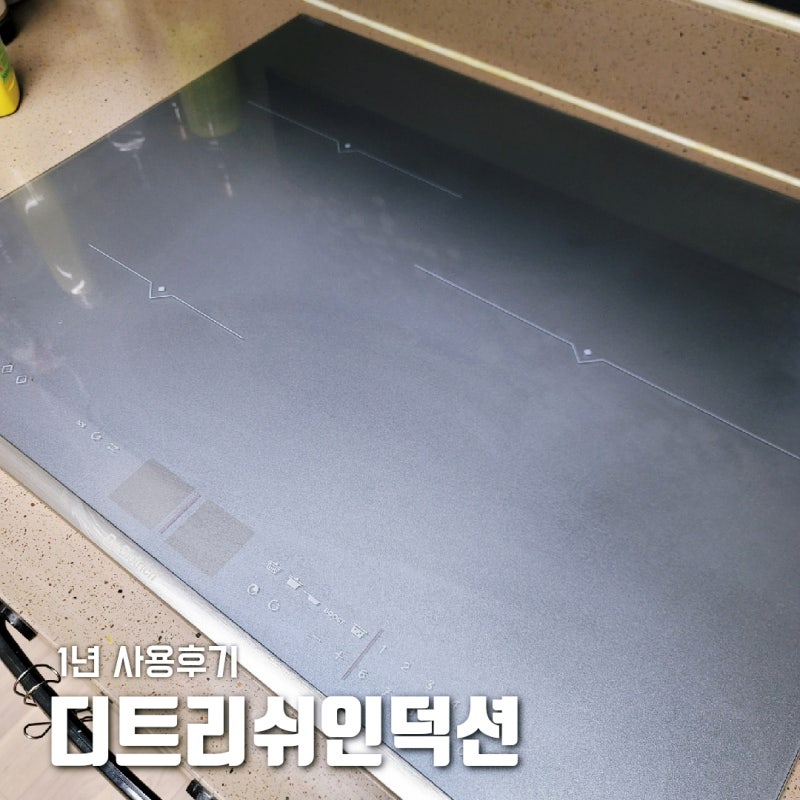 디트리쉬 인덕션 1년 이용후기, 장단점 관리법