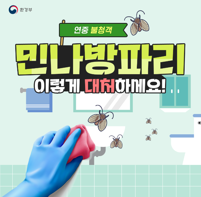  불청객해충 - 민나방파리 이렇게 대처하세요!