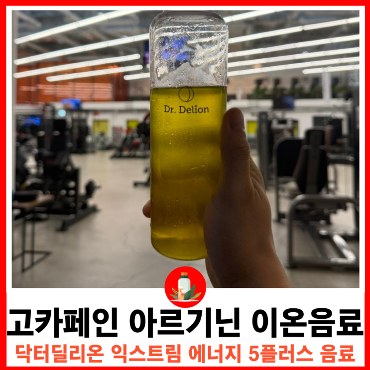 제로슈거로 더 건강하게 운동 중 에너지 충전 스포츠 이온음료 닥터딜리온