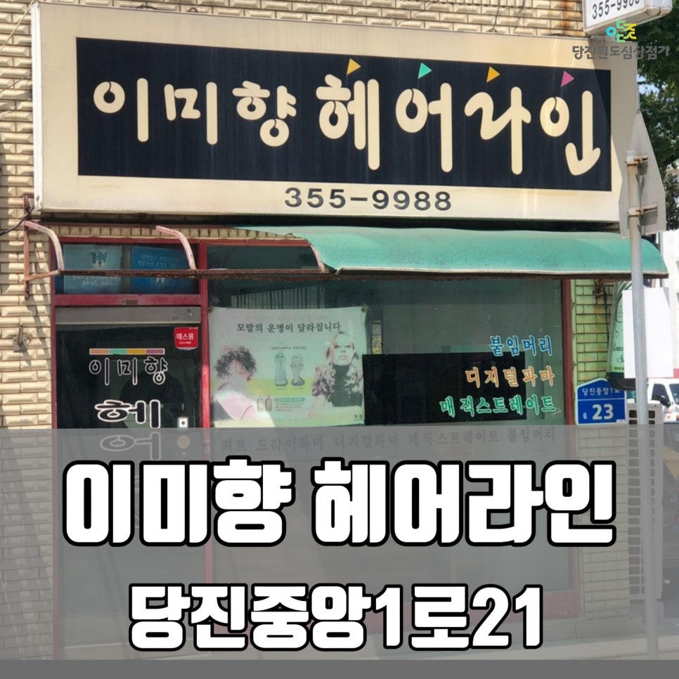 이미향헤어라인 사진 1