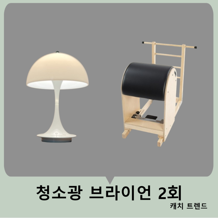 <b>청소광 브라이언</b> <b>채정안</b> 조명 램프 스텐드 판텔라 필라테스... 