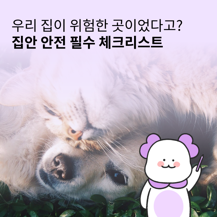  반려동물 실내 안전사고 예방을 위한 집안 점검 체크리스트