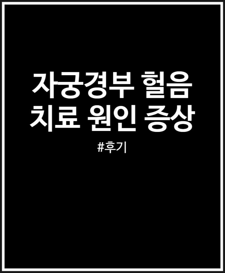  자궁경부 헐음 치료 후기 (원인 증상 부정출혈 정리)