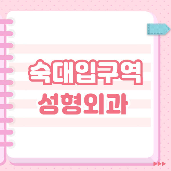  숙대입구역 성형외과, 잘하는 곳 추천 및 일요일 전문의 블랙리스트 소개