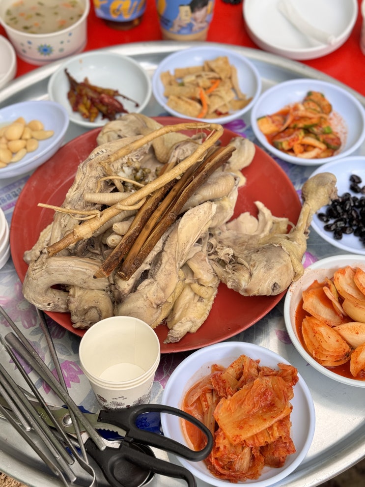 [전남/담양]담양 용흥사 계곡&백숙 첫집