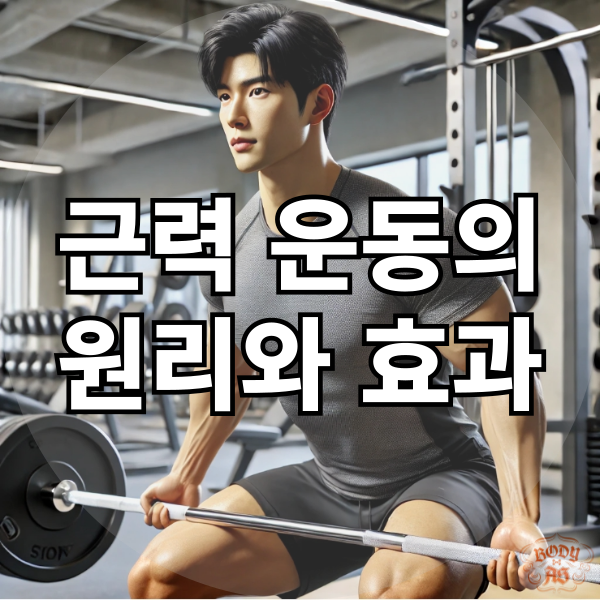  근력 운동 입문자를 위한 원리와 효과 설명