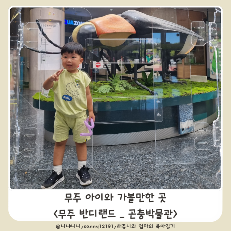  무주 반디랜드 곤충박물관 무주반딧불이축제 아이와 함께