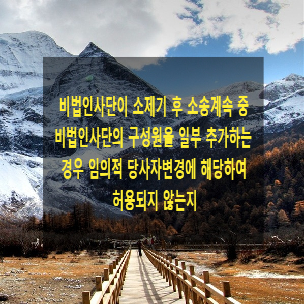  비법인사단이 소제기 후 소송계속 중 비법인사단의 구성원을 일부 추가하는 경우 임의적 당사자변경에 해당하여 허용되지 않는지