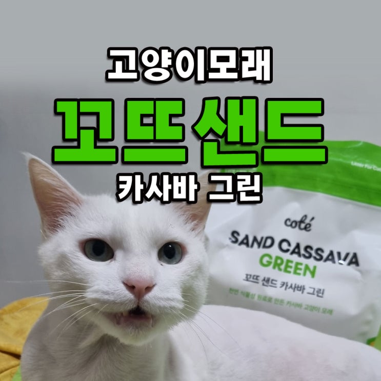  까다로운 고양이도 OK! 고양이모래 꼬뜨 샌드 카사바 그린