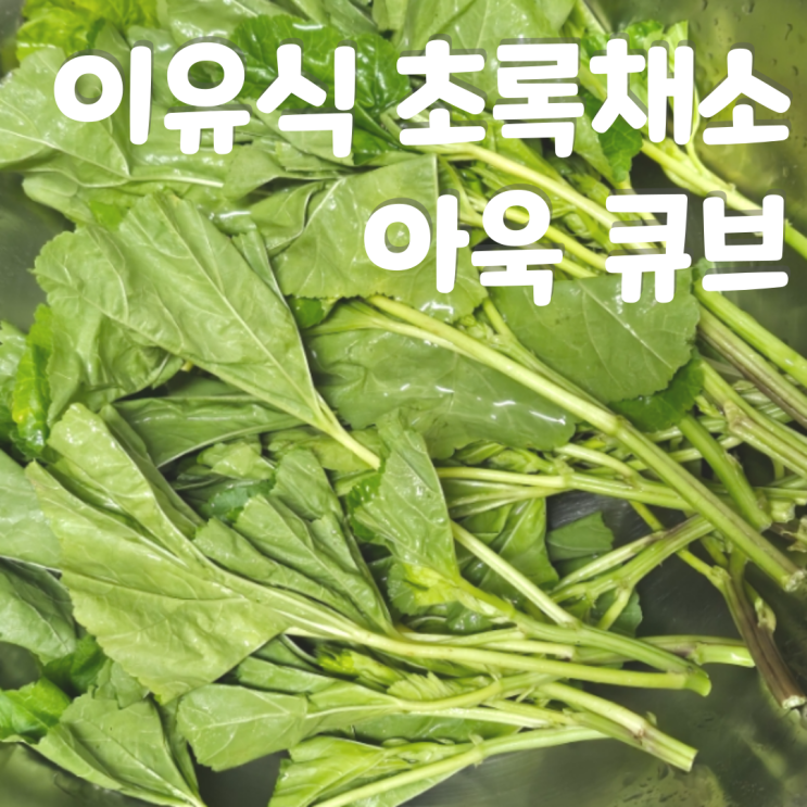  중기이유식 초록 잎채소 아욱 큐브 아욱 토핑 재료 궁합