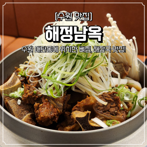  매탄동 점심 맛집 해정남옥 영통 뼈찜 해장국