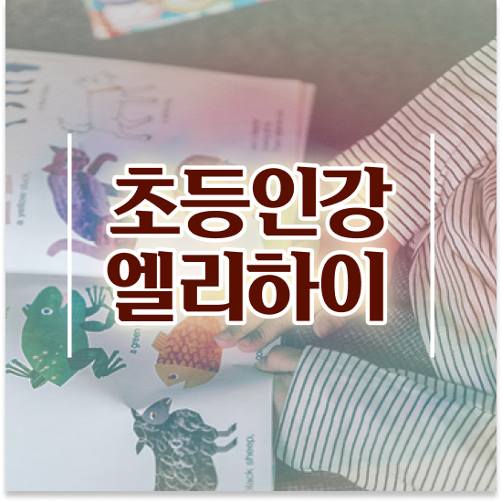  초등 5학년 학습지 가격 엘리하이로 추천해요