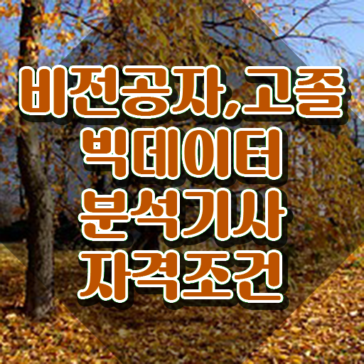  빅데이터분석기사 필기 후기 빅데이터분석기사 시험자격 인강만 듣고 4달만에 준비한 노하우
