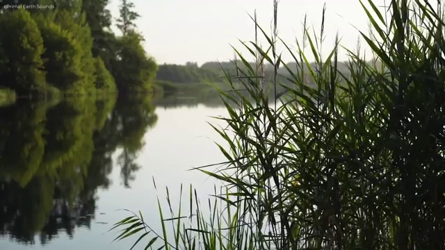  수산물품질관리원 자격증 , 교육기관