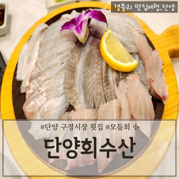  단양 구경시장 횟집 모듬회 내돈내산후기 단양회맛집 '단양회수산'