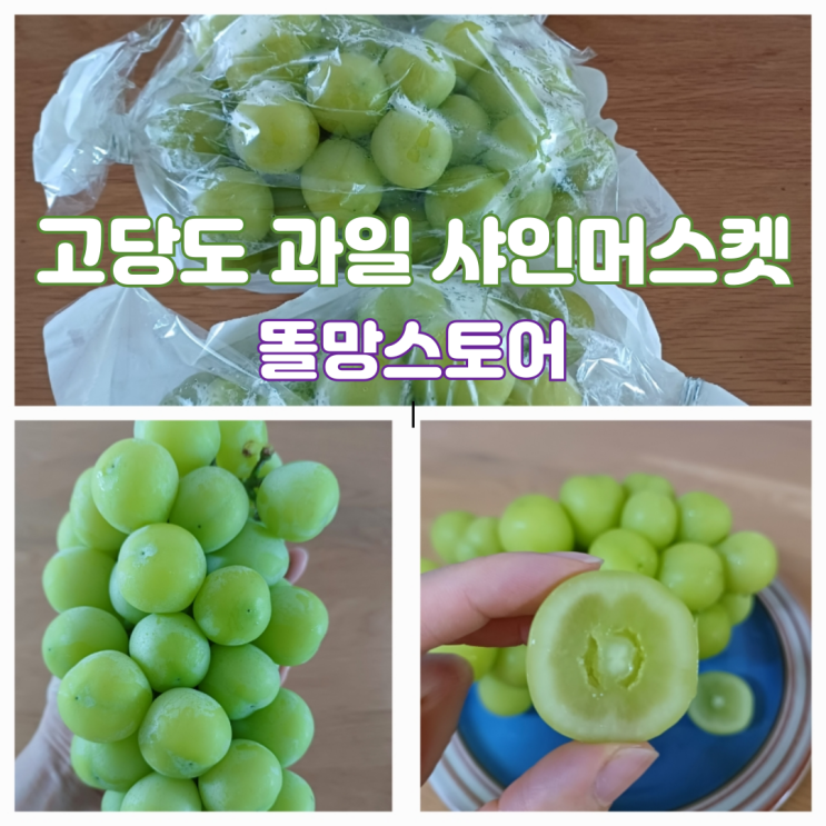 김천 샤인머스켓 제철과일 농장 고당도 과일 똘망스토어 김천 샤인머스켓 제철과일 농장 고당도 과일 똘망스토어