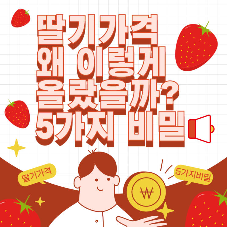  딸기가격, 왜 이렇게 올랐을까? 5가지 비밀