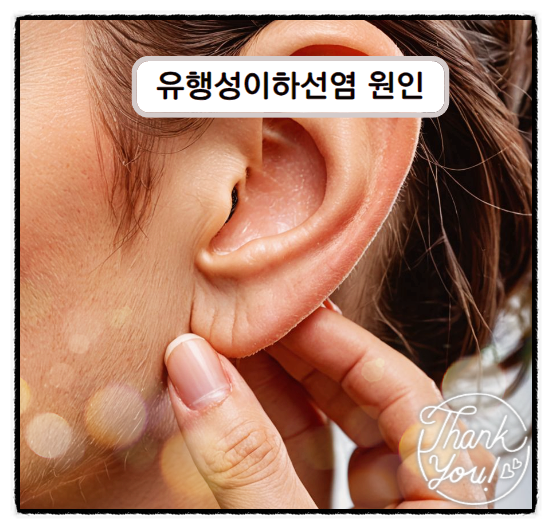  성인 이하선염 유행성 이하선염 볼거리 증상