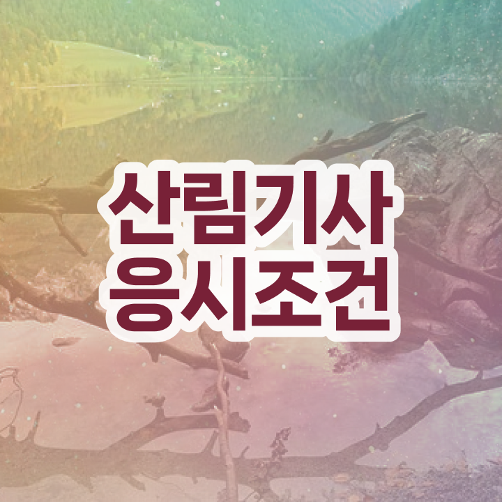  산림기사 산림기사 시험자격 온라인 과정으로 간편하게 준비한 노하우