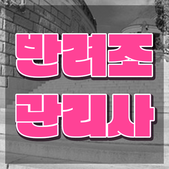  왕관앵무새 , 반려조관리사 자격증 온라인 교육으로 합격한 전략 및 향후 전망