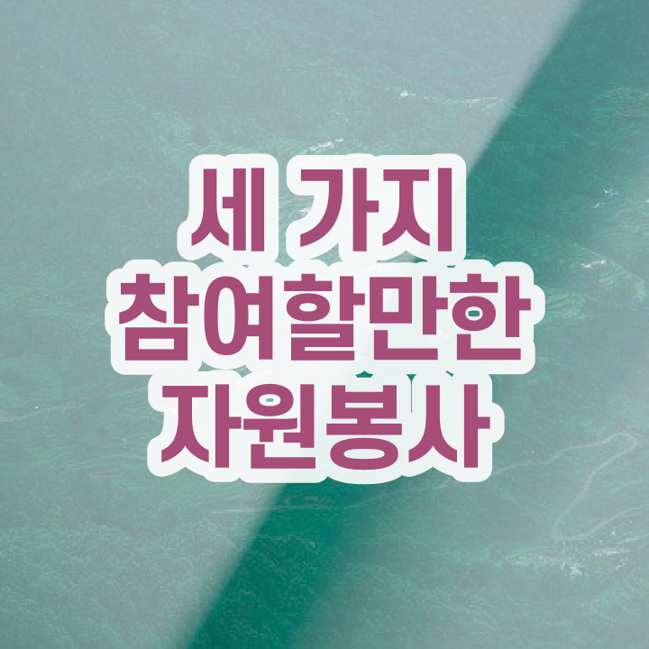  자원봉사 특성 , 자원봉사지도사 자격증 준비한 과정 알려드려요