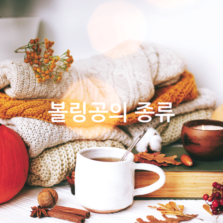  볼링공의 종류