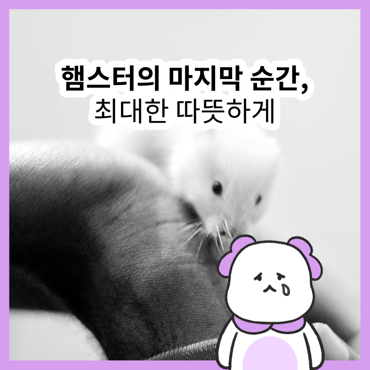 햄스터 죽으면 따뜻하게 작별하는 법 4가지