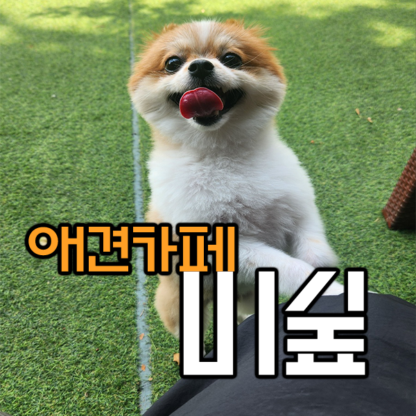 사진 2