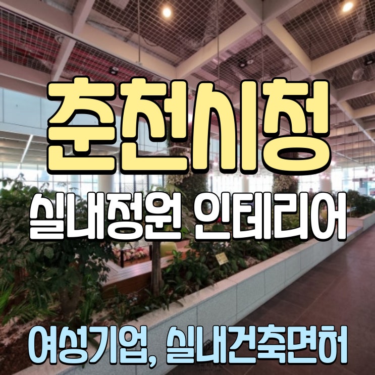  춘천시청 실내정원 목공사 외부 테라스 데크바닥 여성기업 관공서인테리어