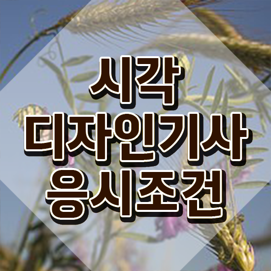  시각디자인기사 학은제 시각디자인기사 취득자격 학점은행제로 1학기 만에 완료한 전략