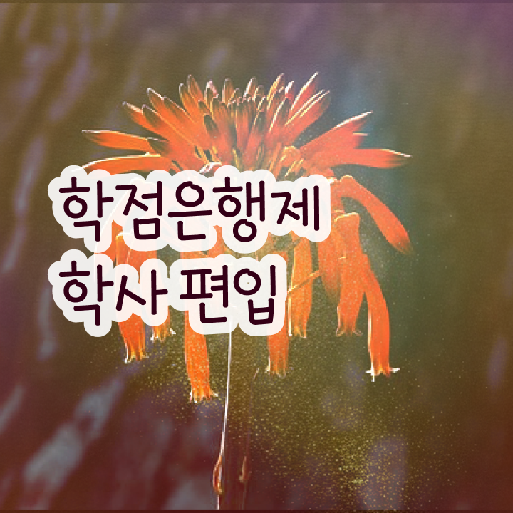  학점은행 편입 , 학점은행제 플래너가 비용절감 시간 단축 과정 궁금하다면