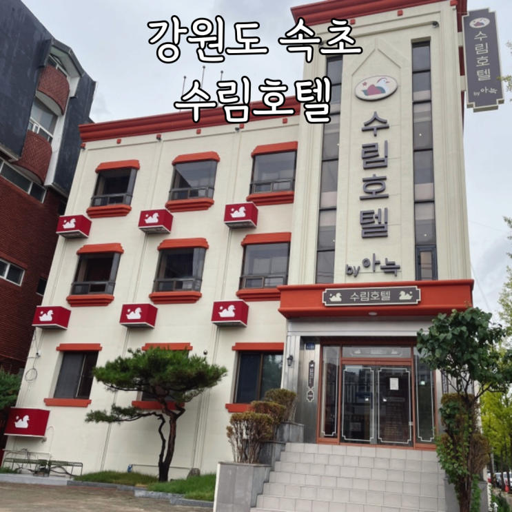  강원도 속초호텔 속초해수욕장 근처 감성숙소 추천 수림호텔